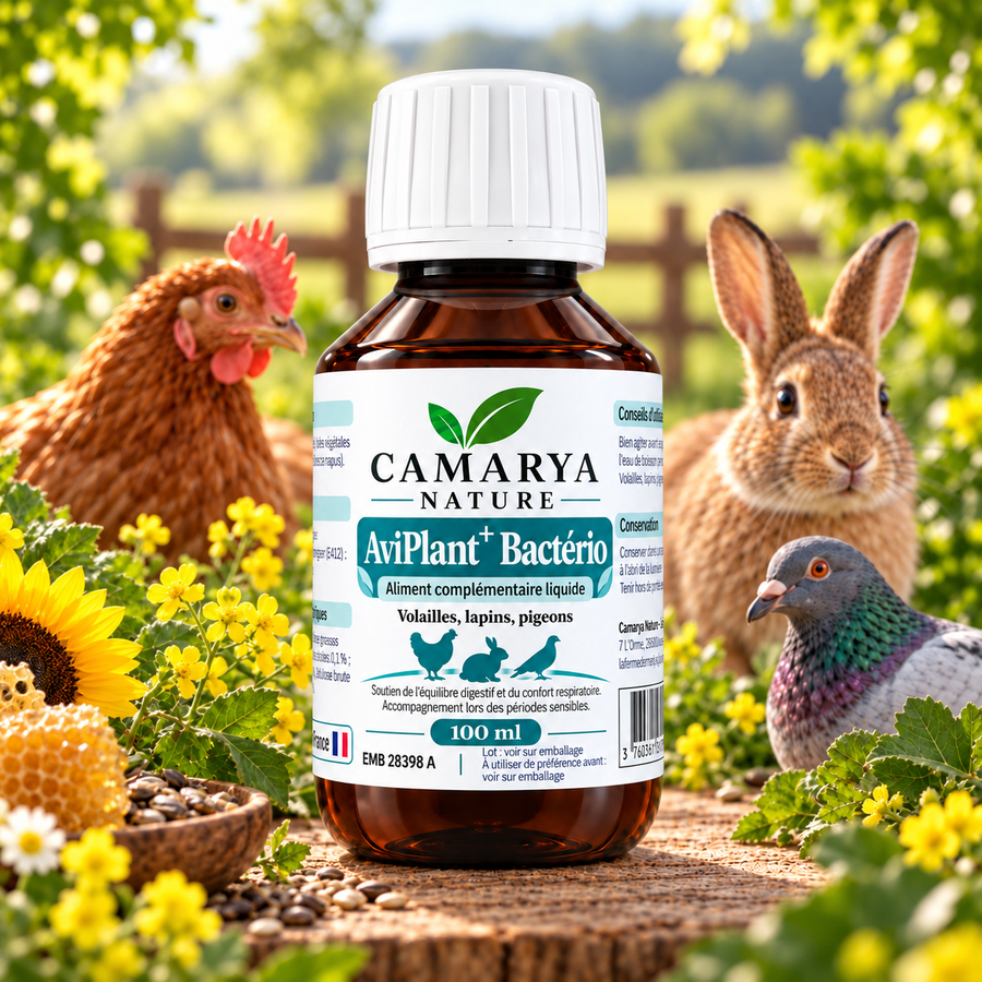 AviPlant+ Bacterio soutien equilibre intestinal et respiratoire poule lapin pigeon site