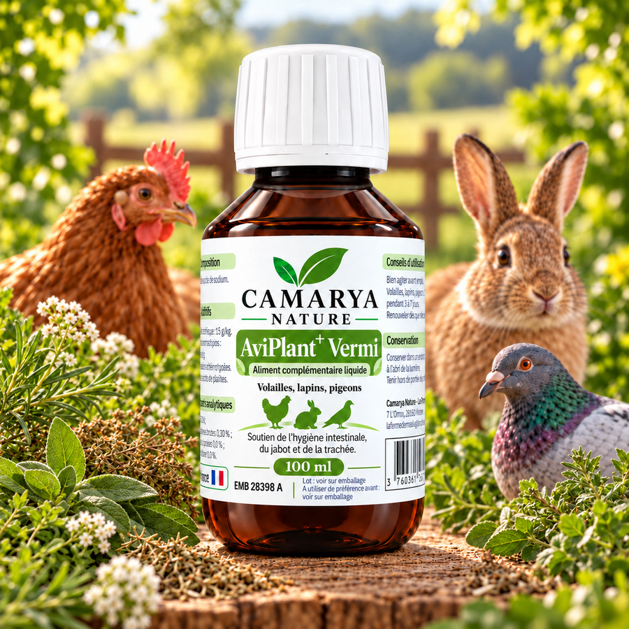 AviPlant+ Vermi vermifuge naturelle poule lapin et pigeon site