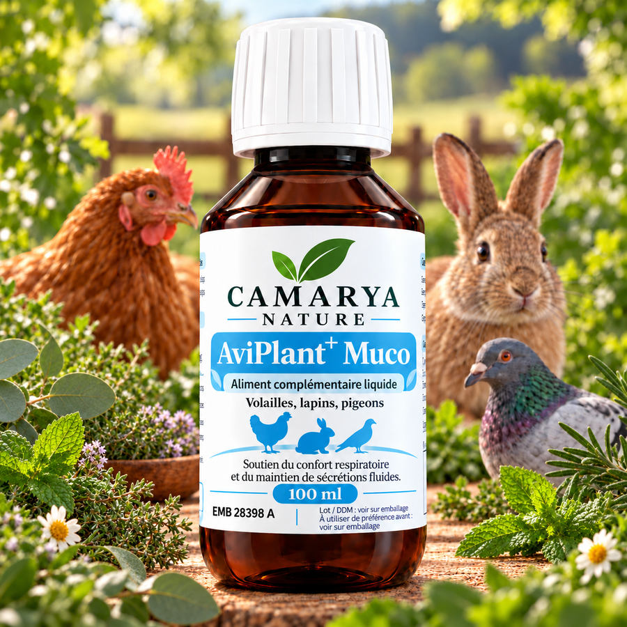 AviPlant+ Muco soutien respiratoire et ecoulement nasale poule lapin pigeon site