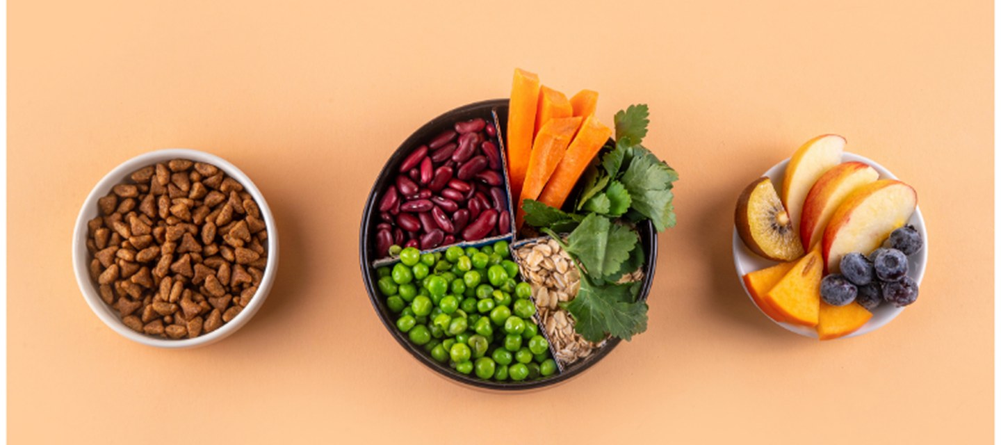 Savoir différencier une bonne alimentation pour son chien ou son chat