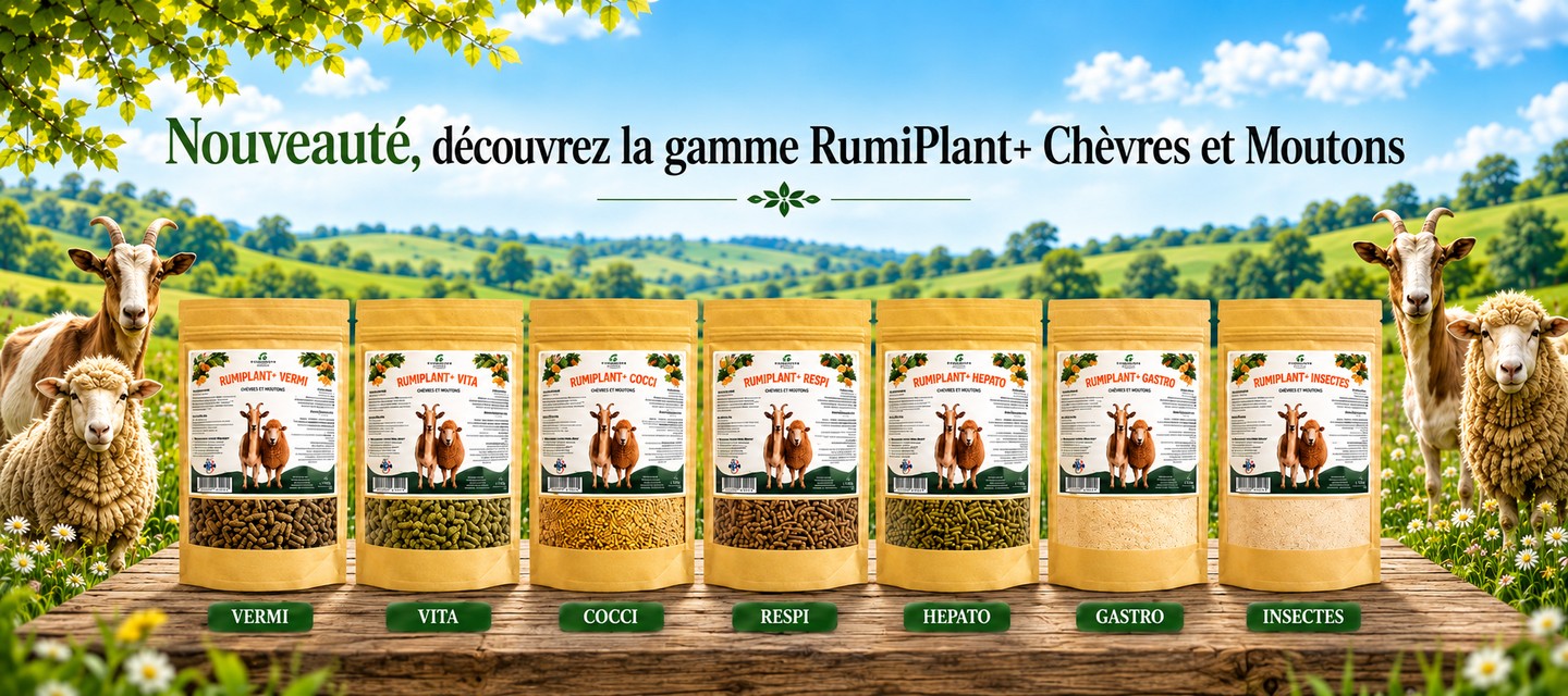 Découvrez la gamme RumiPlant+ Chèvres et Moutons