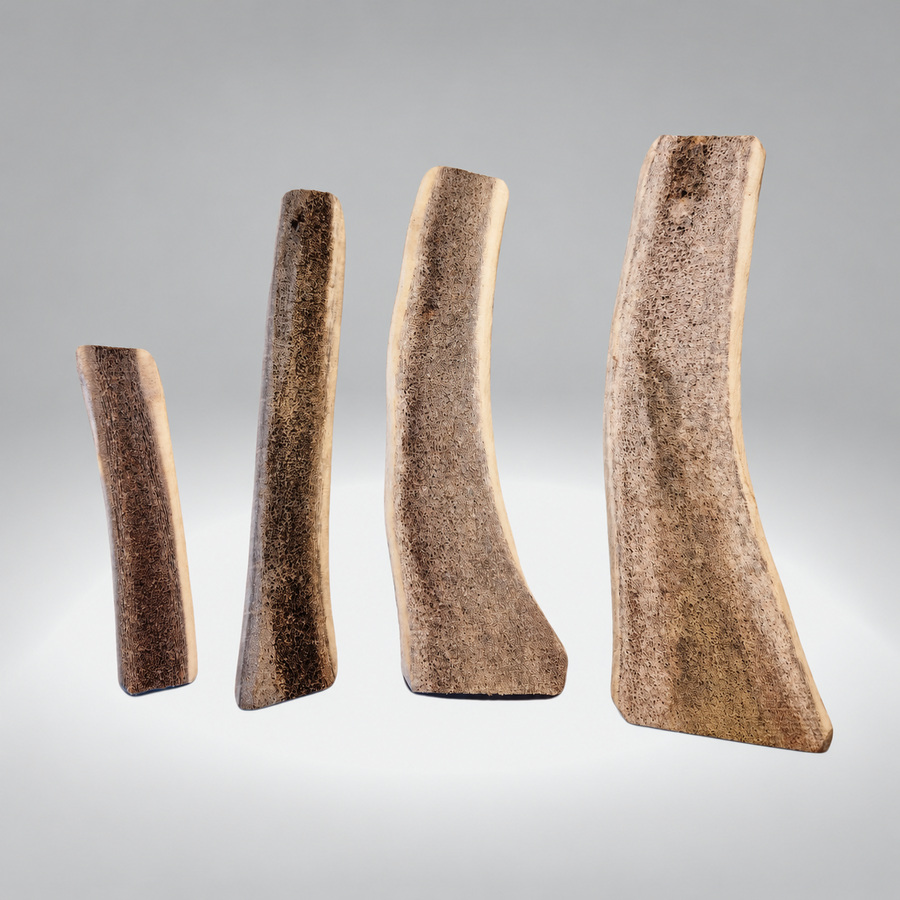 Quatre bois de cerf coupés en deux pour chien, formats S, M, L et XL