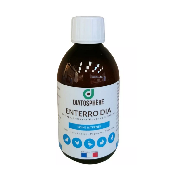 Enterro dia