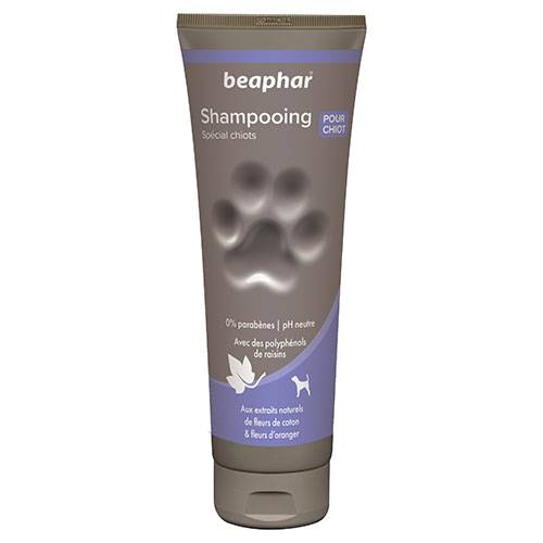 Shampooing chiot