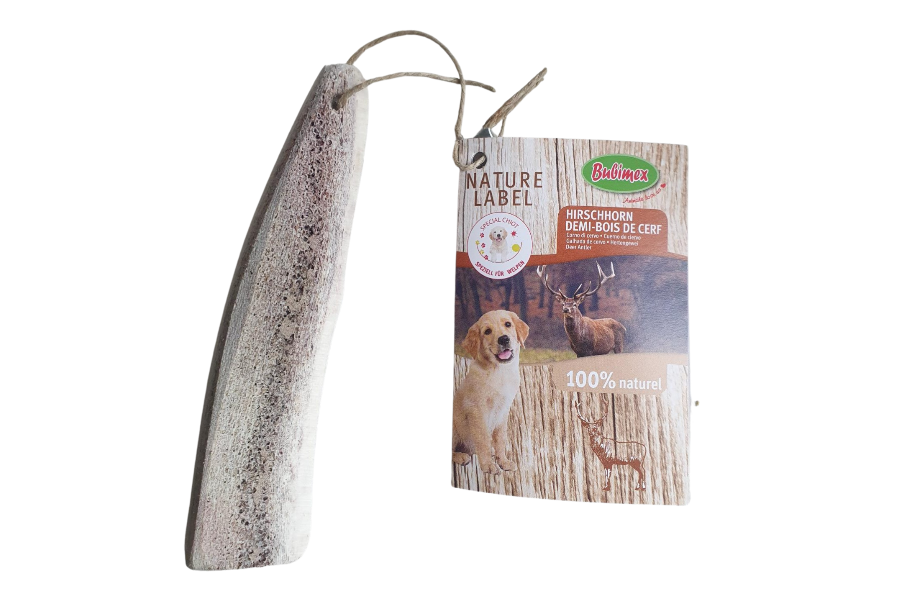 Bois de cerf coupé en 2