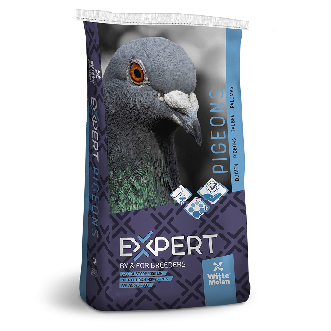 Expert pigeon 4 saisons