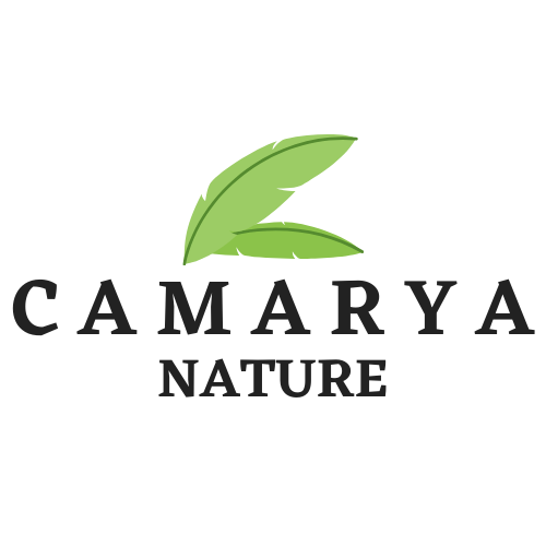 Logo original Camarya Nature
