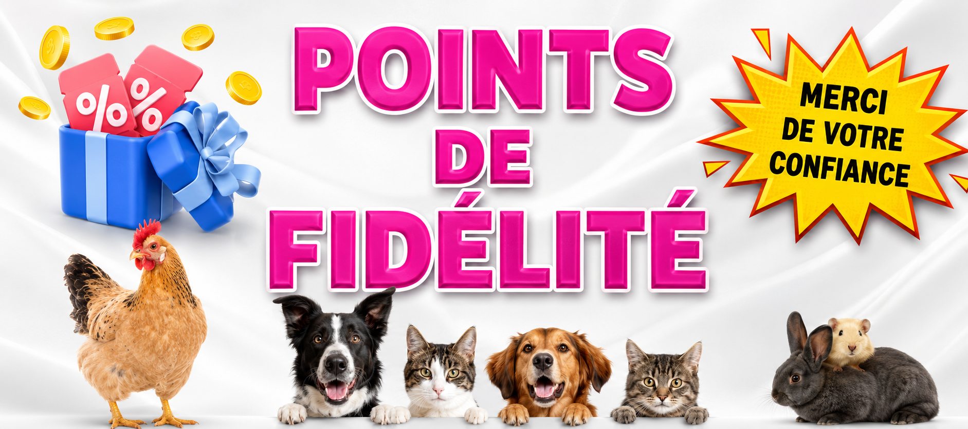 Points de fidélité