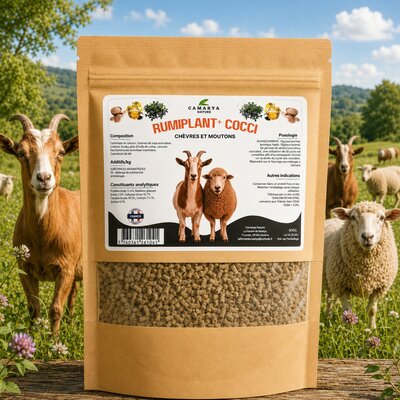 Rumiplant+ Cocci chèvres et moutons