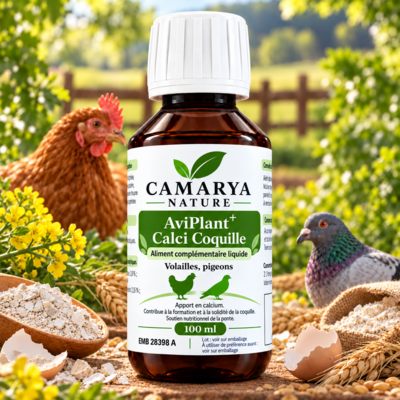 AviPlant+ Calci Coquille calcium solidité coquille ponte poule pigeon site