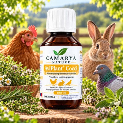 AviPlant+ Cocci soutien digestif poule lapin et pigeon site