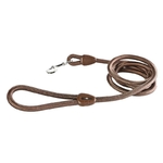 Longe marron pour chiens 200cm