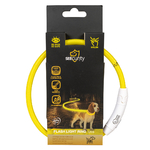 collier lumineux pour chiens - rechargeable USB