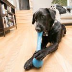 Kong squeakstix bleu-jouet pour chien 1