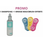 PROMO Shampooing cheval et brosse