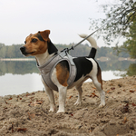 Harnais ultimate fit pour petits chiens balades