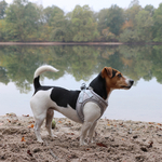 Harnais ultimate fit pour petits chiens promenades
