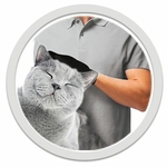 gant magique pour chiens et chats brossage et massage