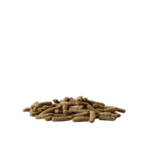 Cavia complete-photo produit