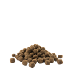 Opti life medium adult-photo croquettes