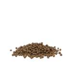 Opti life kitten-photo croquettes