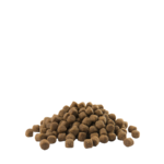 opti life chicken medium puppy-photo croquettes