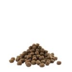 opti life chicken maxi puppy-photo croquettes