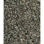 Tournesol 1.5kg pour oiseaux de la nature photo produit