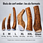 Guide des six tailles de bois de cerf entiers, de S à Giant, avec leurs plages de poids