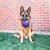 Kong flexball mauve-jouet pour chien 1