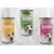 soup pour chiens bubimex