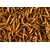 larves de mouches soldats pour poules et autres animaux