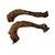 cou de dinde - friandise naturelle pour chiens