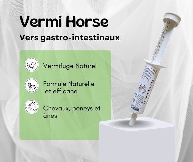 HELMINTHEX Pâte orale pour chevaux - Med'Vet