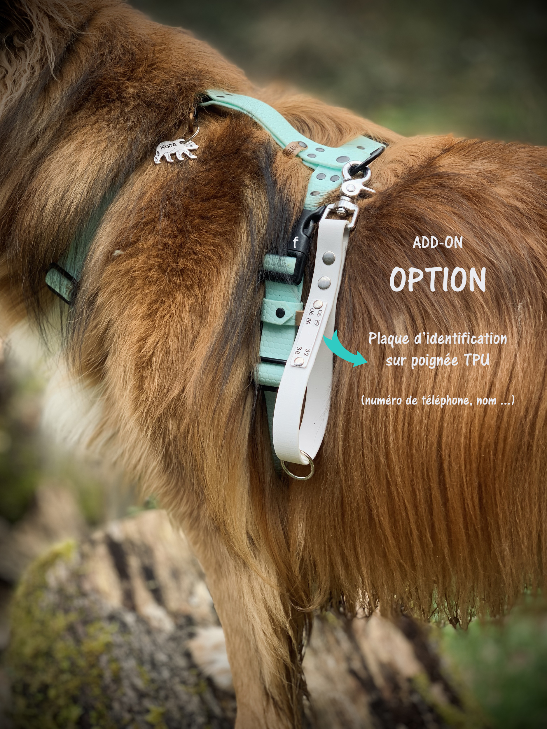 option plaque