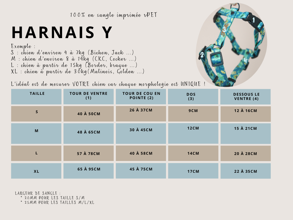 Tableau tailles harnais Y