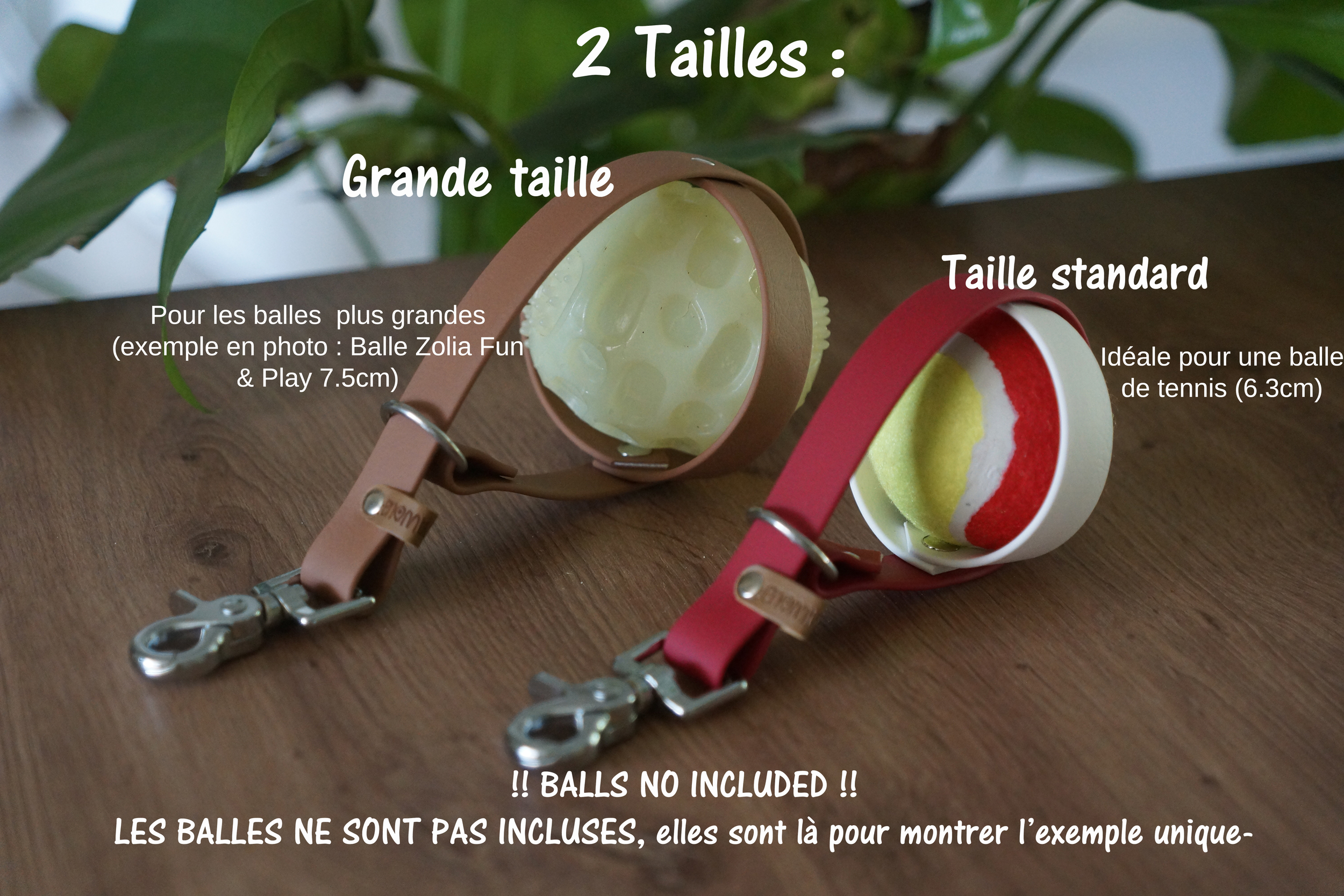 tailles