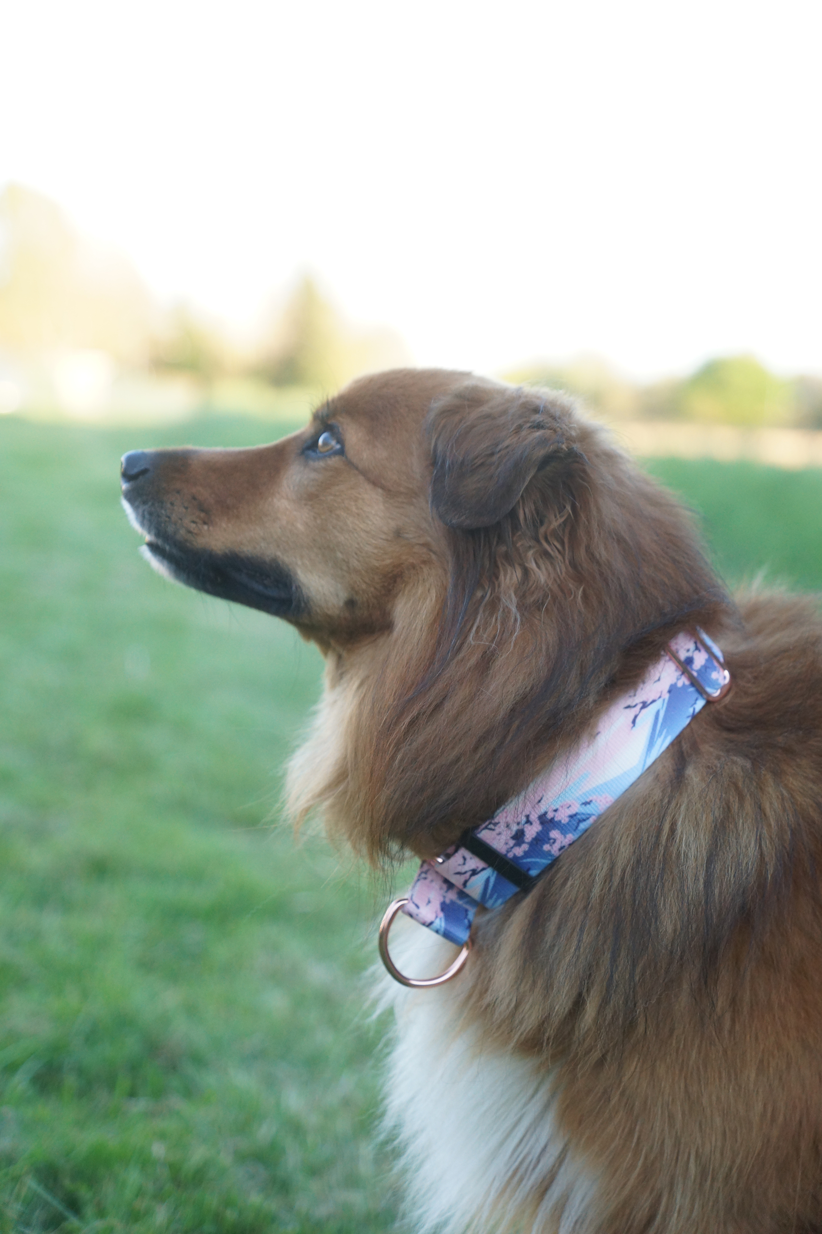 DSC05402