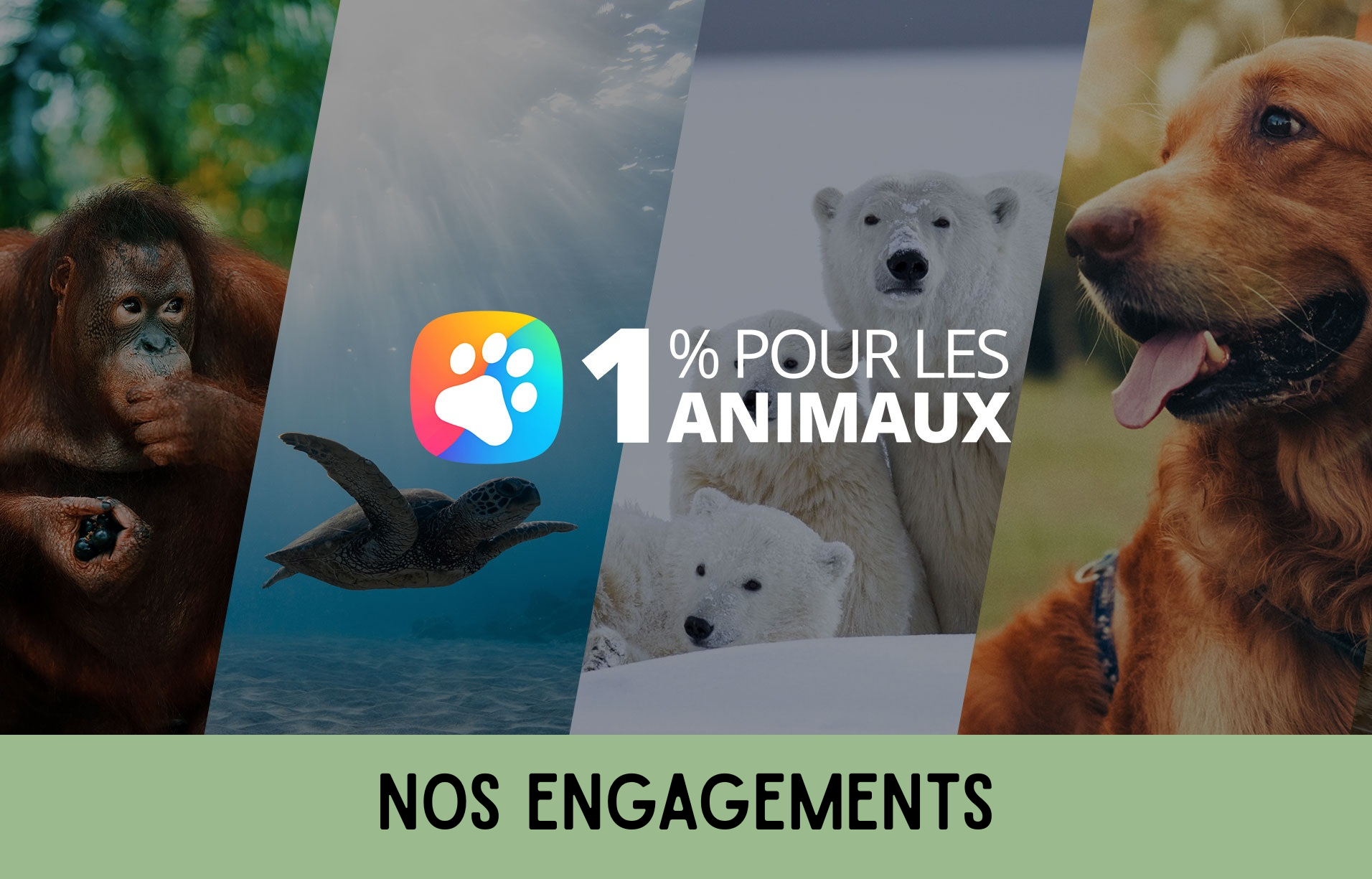 nos engagements