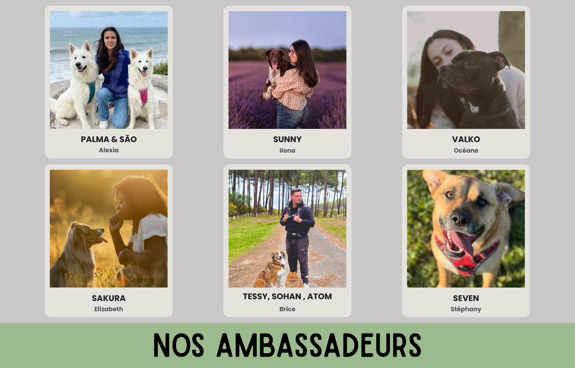 banniere ambassadeurs