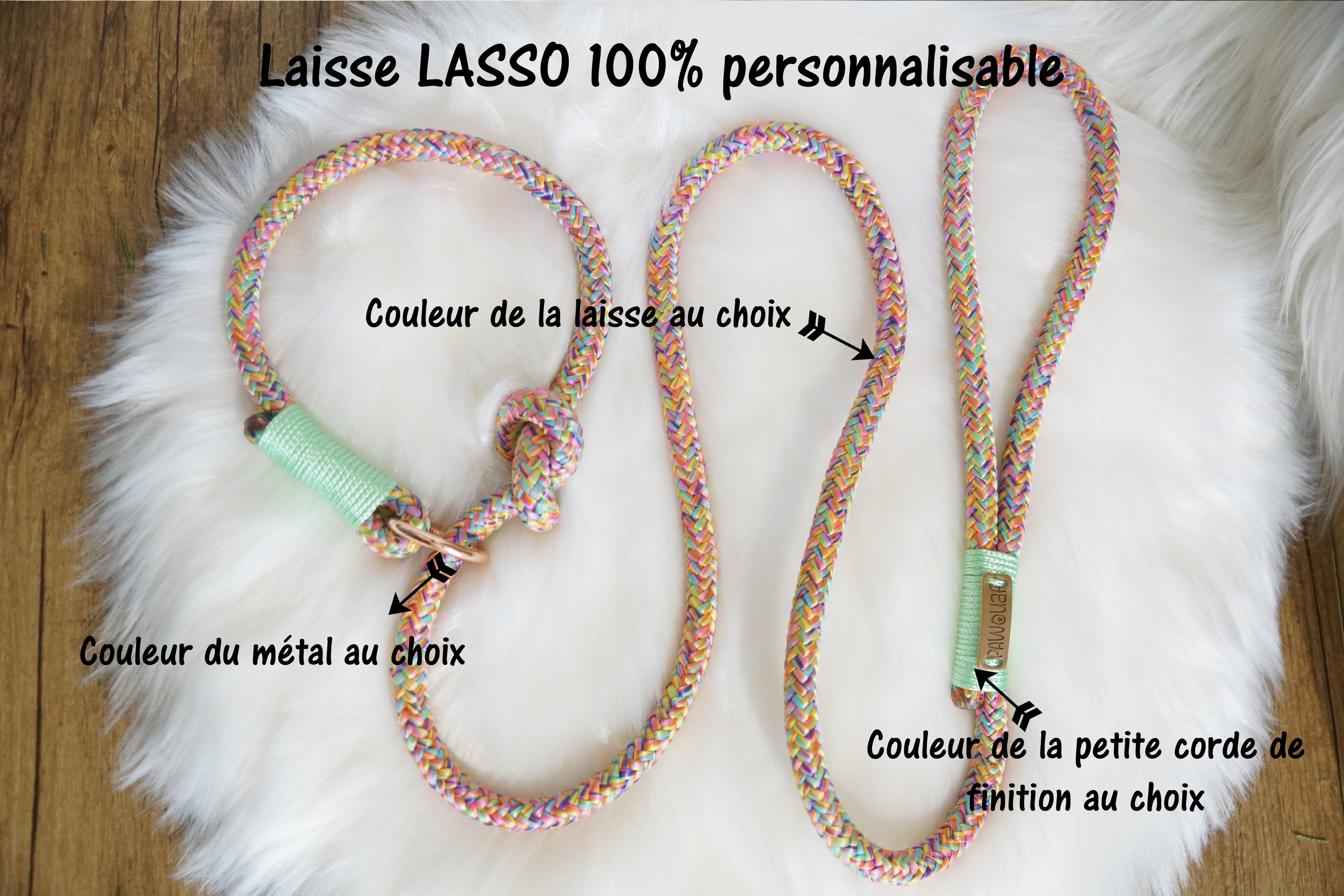 personnalisation laisse  lasso1