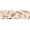 Native american feather Side B