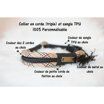 couleur de collier ppm triple sangle1