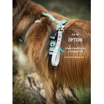 option plaque