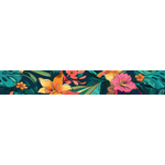 Forêt tropicale 3