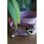 DSC05582