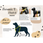 mesures harnais Y