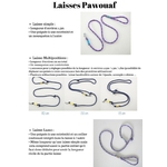 laisses