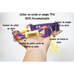 couleur de collier ppm sangle