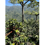 quetzalito_52177890897_o